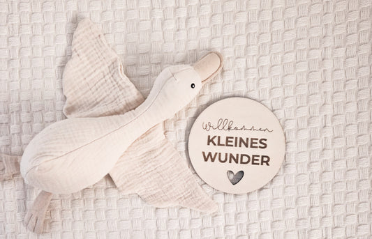 Willkommen kleines Wunder Holzschild