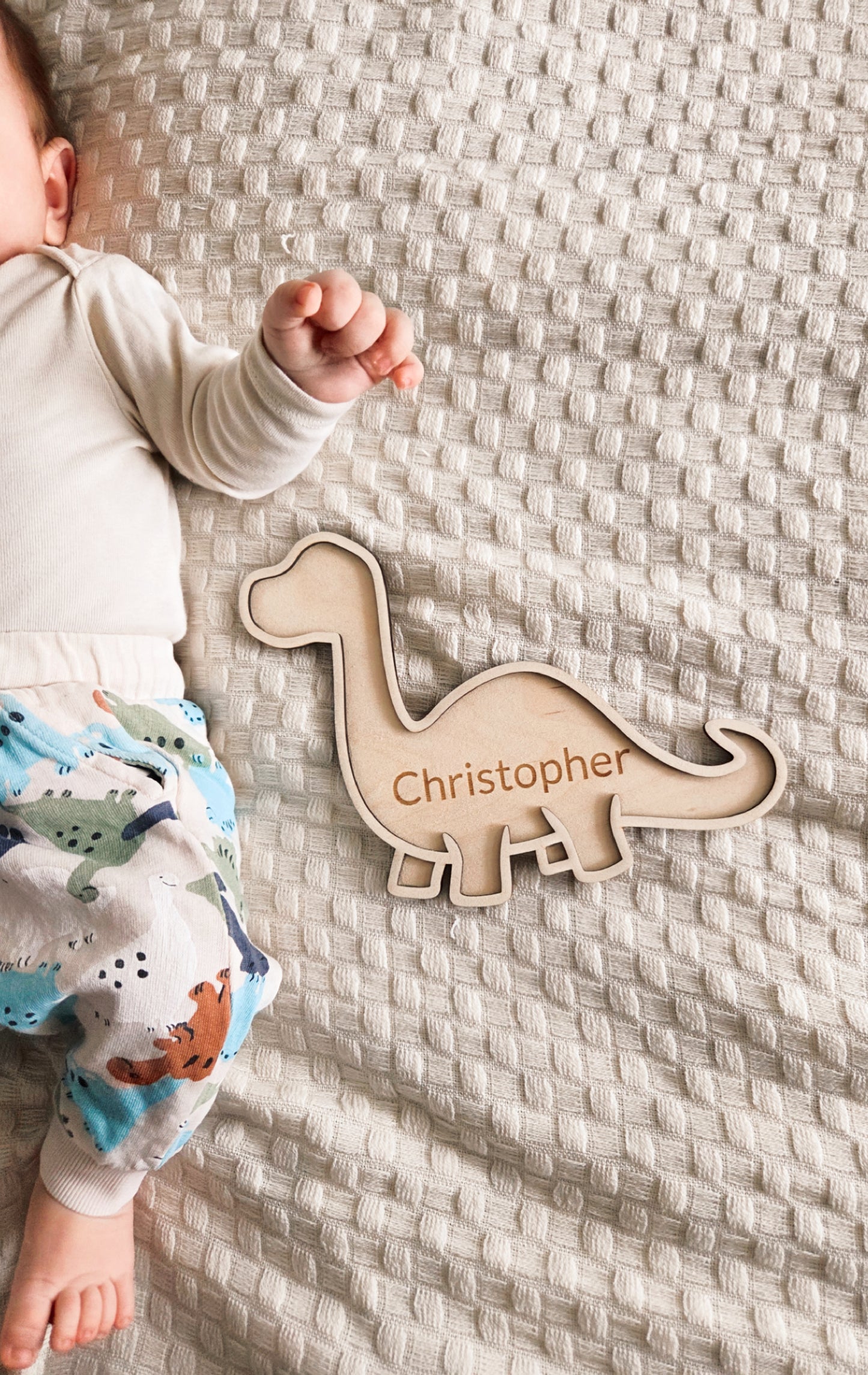 Dinosauriar Namensschild