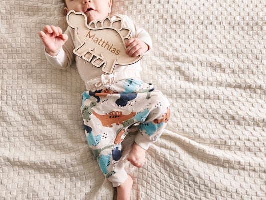 Dinosauriar Namensschild