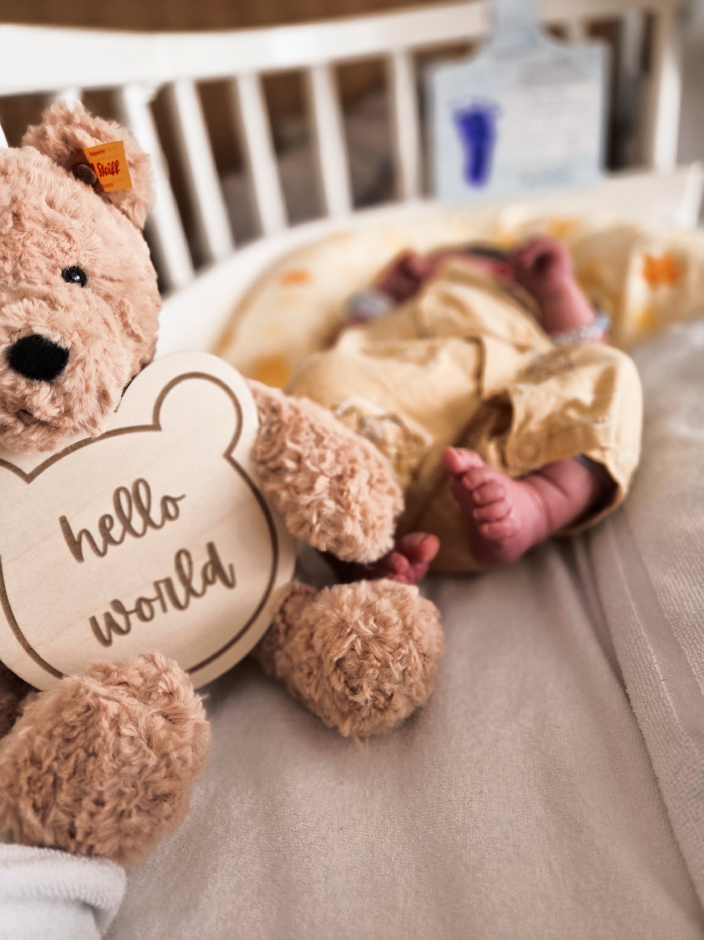 hello world und waiting for you Holzschild im Bärenstil