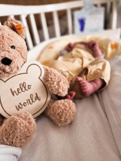 hello world und waiting for you Holzschild im Bärenstil