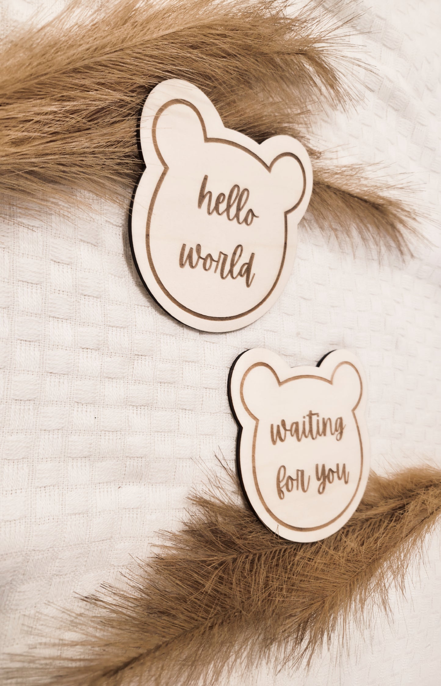 hello world und waiting for you Holzschild im Bärenstil