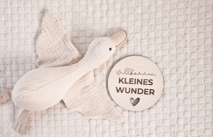 Willkommen kleines Wunder Holzschild