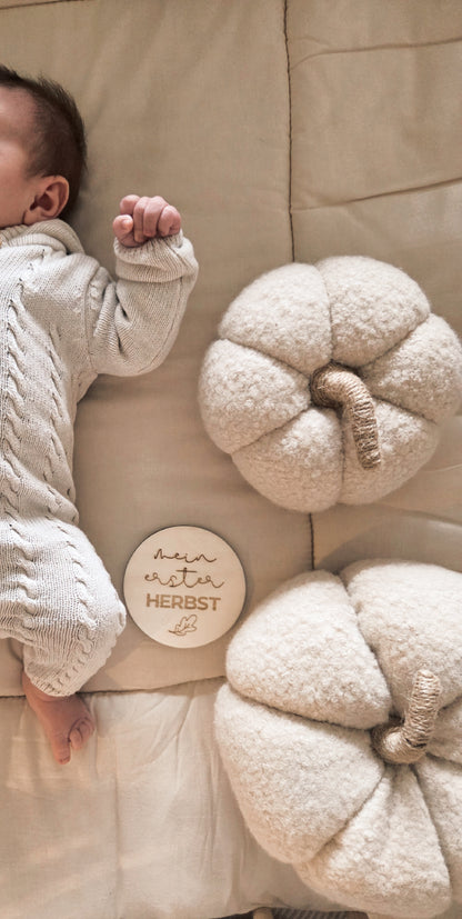 Meilensteinkarten SET "mein erstes Mal"