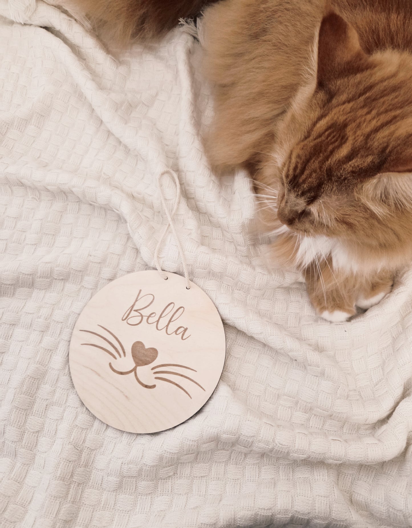 personalisiertes Holzschild Katze