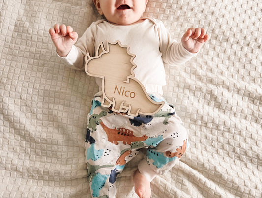 Dinosauriar Namensschild