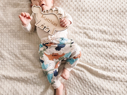 Dinosauriar Namensschild