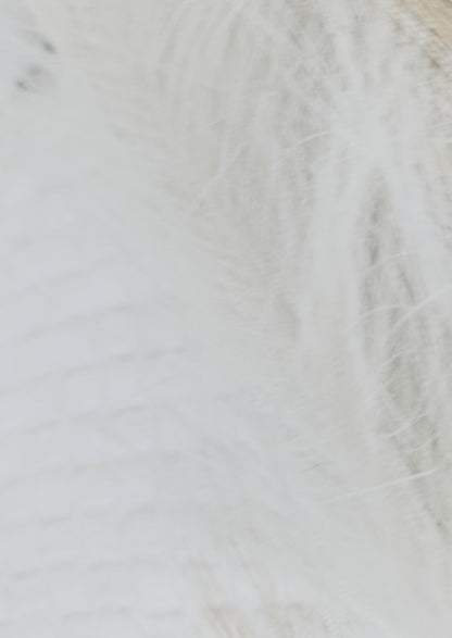 Hallo Welt Holzschild mit Personalisierung